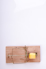 Mouse trap