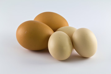 Eggs isolated on white background.