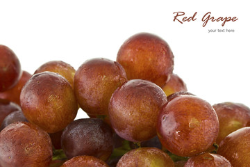Red Grape on white