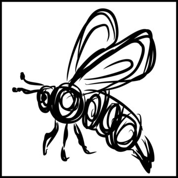 bee - sketch