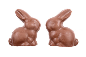 Bunny chocolate