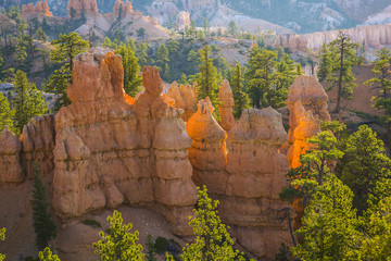 sunrise in Bryce Canyon
