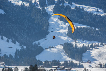 Paraglider