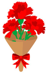 carnations Bouquet