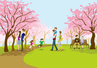 Obraz na płótnie Canvas cherry-blossom wejść na park