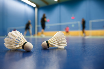 badminton - badminton courts with players competing; shuttlecock - obrazy, fototapety, plakaty