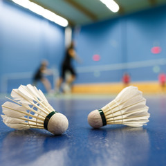 badminton - badminton courts with players competing; shuttlecock