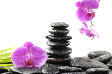 Fototapeta na wymiar Stones tower with orchid and palm leaf on wet pebble