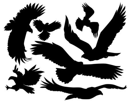 eagles vector silhouette