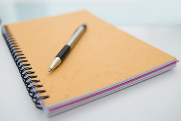 Notebook and pen