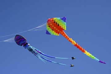 Colorful flying kites against a blue sky, Matariki festival
