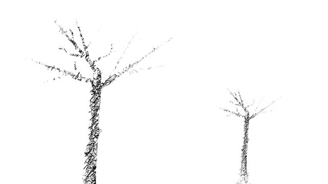 Sketch of trees, drawn with a pencil