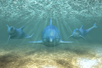 Panele Szklane  Three dolphins