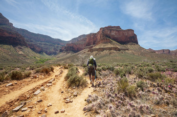 Hike in Grand Canyon