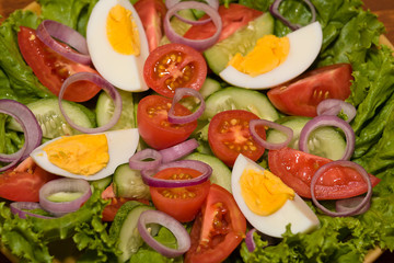 Fresh vegetable salad on plate