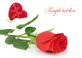 Red rose with red velvet Heart-shaped Gift Box on a white backgr