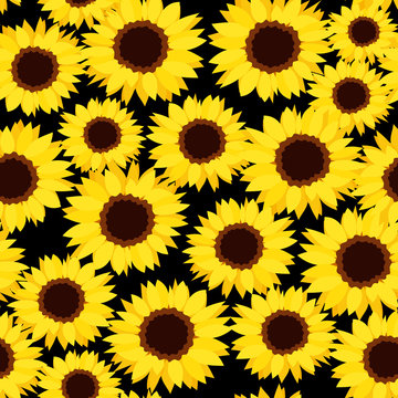 Seamless background with sunflowers. Vector illustration.