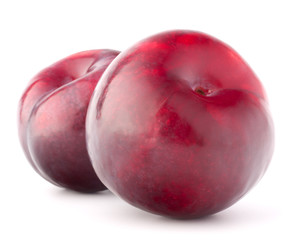 Ripe plum  fruit