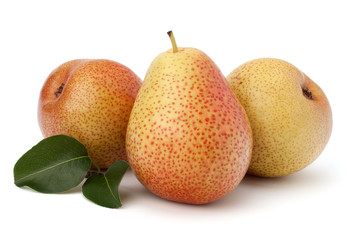 Pear fruits