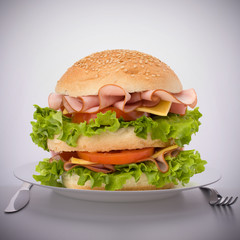 Fast food big sandwich  on plate