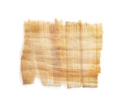 papyrus texture