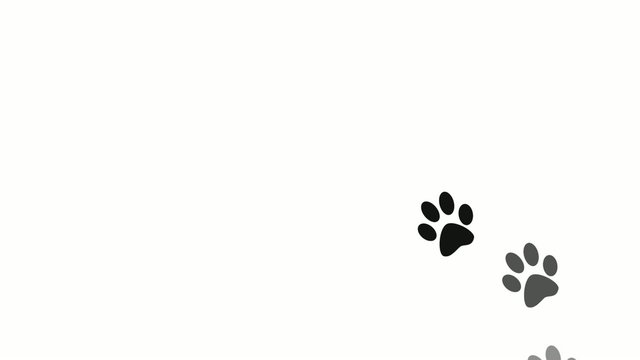 Huellas de un animal