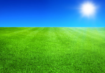 Obraz na płótnie Canvas zielona trawa i błękitne niebo