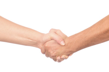 Closeup of people shaking hands