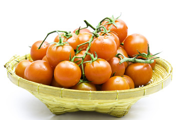 tomatoes