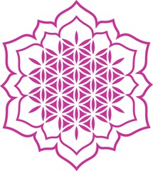 Vektor - Blume des Lebens - Herz Lotus - Chakra - obrazy, fototapety, plakaty