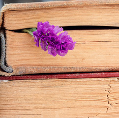 Bookmark flower