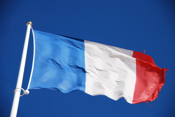Naklejka na ściany i meble drapeau francais