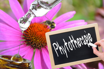 Phytotherapie Kreidetafel