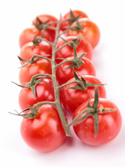 fresh cherry tomato