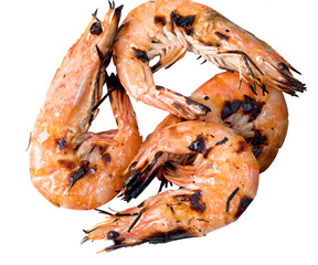 grilled shrimp on a white background