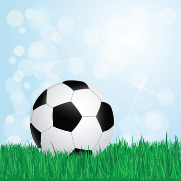 soccer on grass