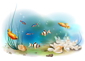 Naklejka na ściany i meble Ilustracja z tropikalnych podwodny świat