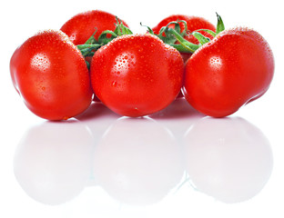 Closeup of vine tomatoes isolated on white