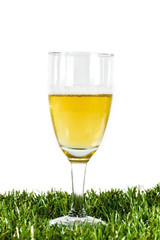glass of beer on green grass