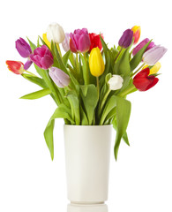 Tulpenstrauß in weißer Vase, isoliert