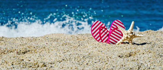 flip-flop and starfish on the beach