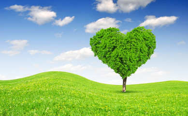 Fototapeta na wymiar Spring landscape with tree in the shape of heart