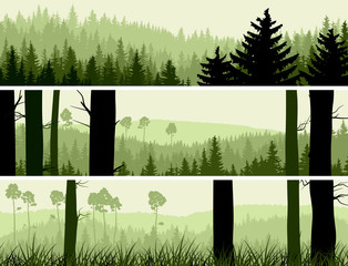 Horizontal banners of hills coniferous wood. © vertyr