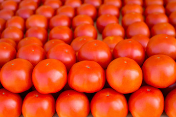 tomatoes vegetables stacked in a row on market