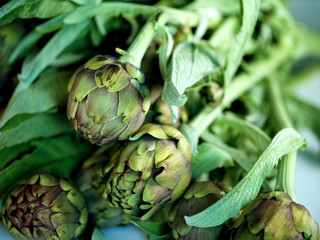 Obraz premium enginar