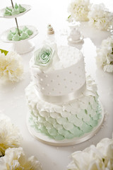 Cake_013