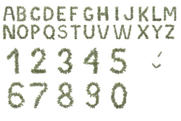 Christmas or nature alphabet made from needles isolated on white