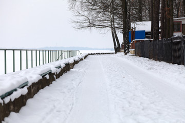 Aleja nad jeziorem w Turawie zimą.