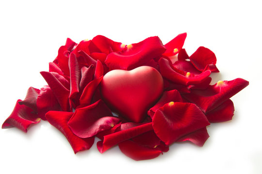 Red rose petals with heart