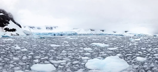 Rolgordijnen Tidewater glacier, Paradise Bay, Antarctica © Guido Amrein